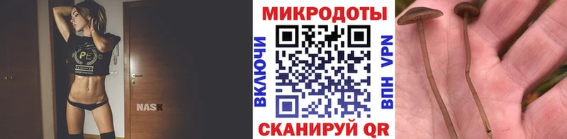 Псилоцибиновые грибы прущие грибы  ОМГ ОМГ как зайти  Арск 